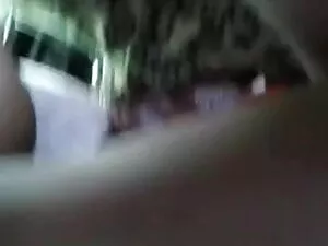 लिली मार्लीन इंग्लिश ...