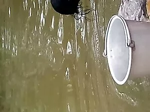 कैलगरी कोर्ट में सेक ...