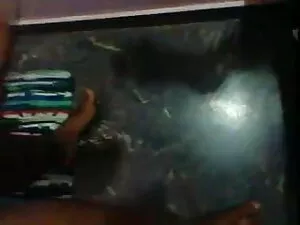 प्रदर्शनी संग्रह 19  ...