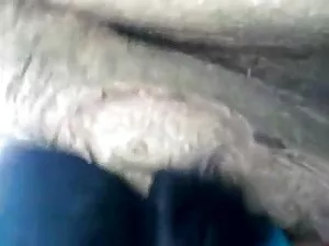 प्रमुख सुंदर रानी पै ...