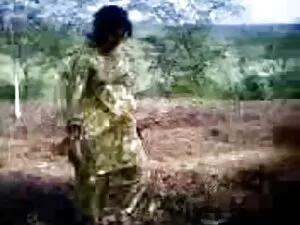 ता म बृदावकी जक नित  ...