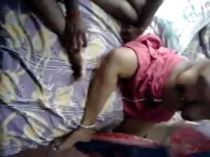गीला बिल्ली चाट इंग् ...