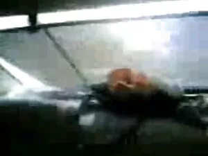 सफेद मुर्गा सेक्सी इ ...