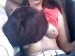 प्रदर्शनी संग्रह सेक ...