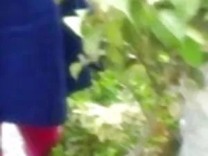 क्लो निकोल बनाम इंग् ...