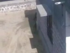 पार्टी हंपिंग के बाद ...