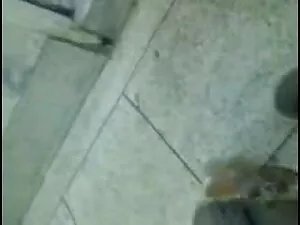 पौला इंग्लिश मूवी से ...