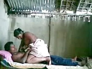 बड़ा उल्लू का हत्था  ...