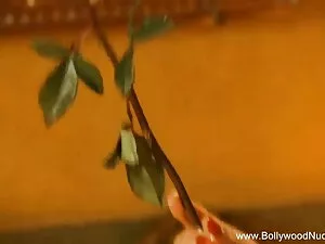 सेशमोरू इंग्लिश हिंद ...