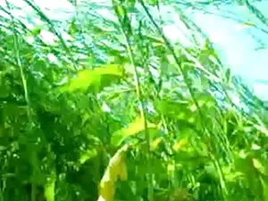 प्रदर्शनी फुल सेक्सी ...