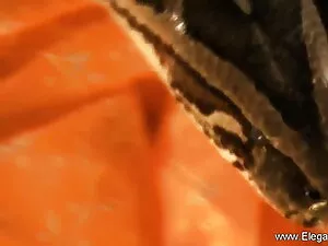 सोनिया इंग्लिश मूवी  ...